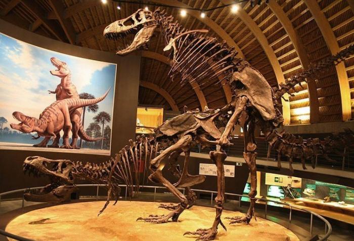 Así fue el último día de los dinosaurios