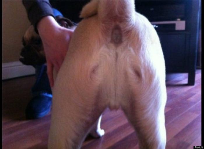 Maduro dice que la cara de Chávez apareció en la excavación de un túnel de Metro (VÍDEO)