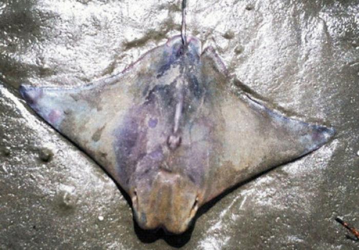 Maduro dice que la cara de Chávez apareció en la excavación de un túnel de Metro (VÍDEO)