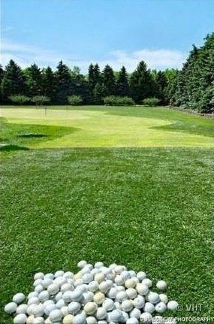 Michael Jordan subasta su mansión de Chicago (VÍDEO, FOTOS)