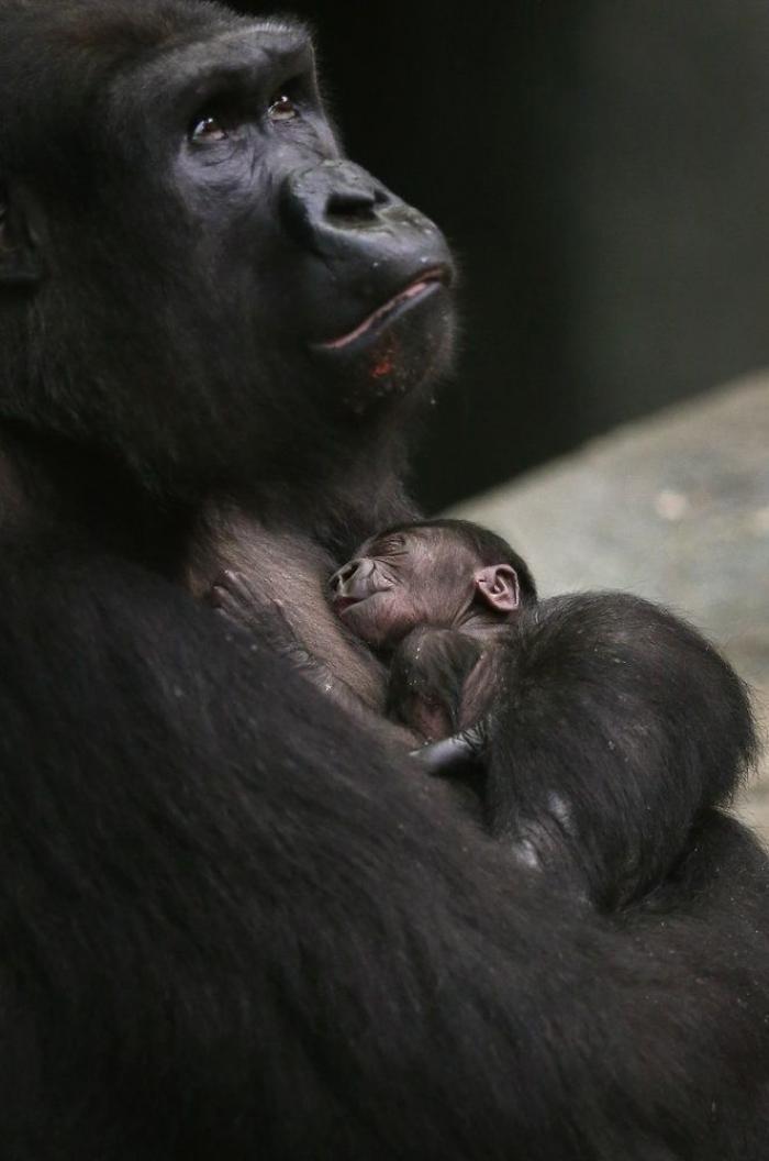 Edu García, el niño de 'Aquí no hay quien viva, reaparece irreconocible y arrasa con un vídeo que algunos vinculan a un partido político