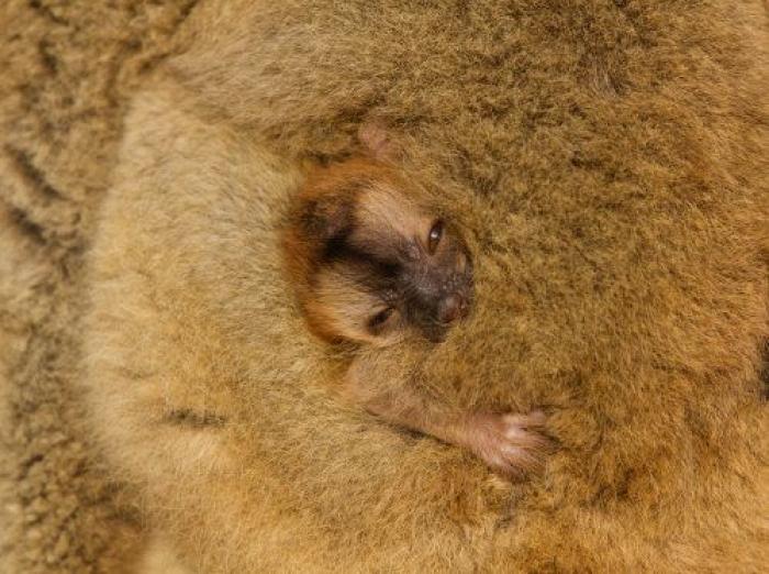 Edu García, el niño de 'Aquí no hay quien viva, reaparece irreconocible y arrasa con un vídeo que algunos vinculan a un partido político