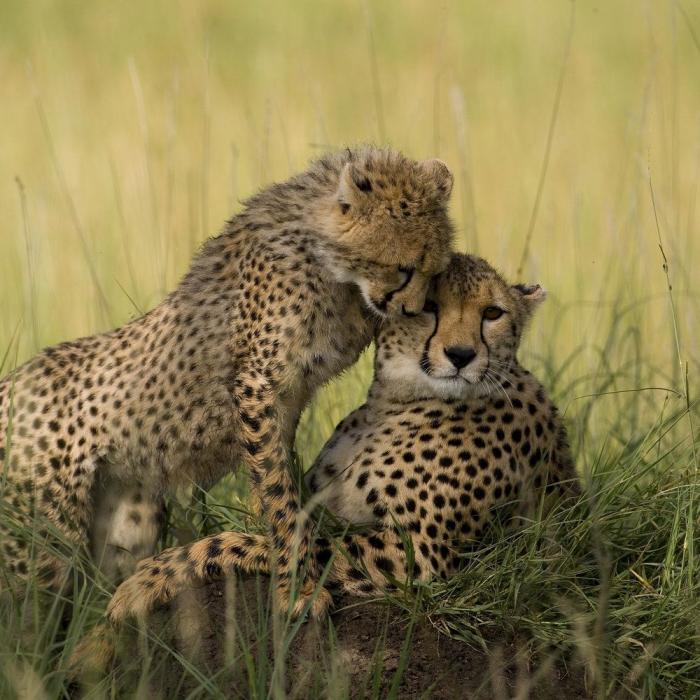 Edu García, el niño de 'Aquí no hay quien viva, reaparece irreconocible y arrasa con un vídeo que algunos vinculan a un partido político