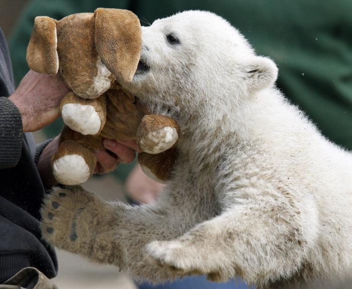 Edu García, el niño de 'Aquí no hay quien viva, reaparece irreconocible y arrasa con un vídeo que algunos vinculan a un partido político