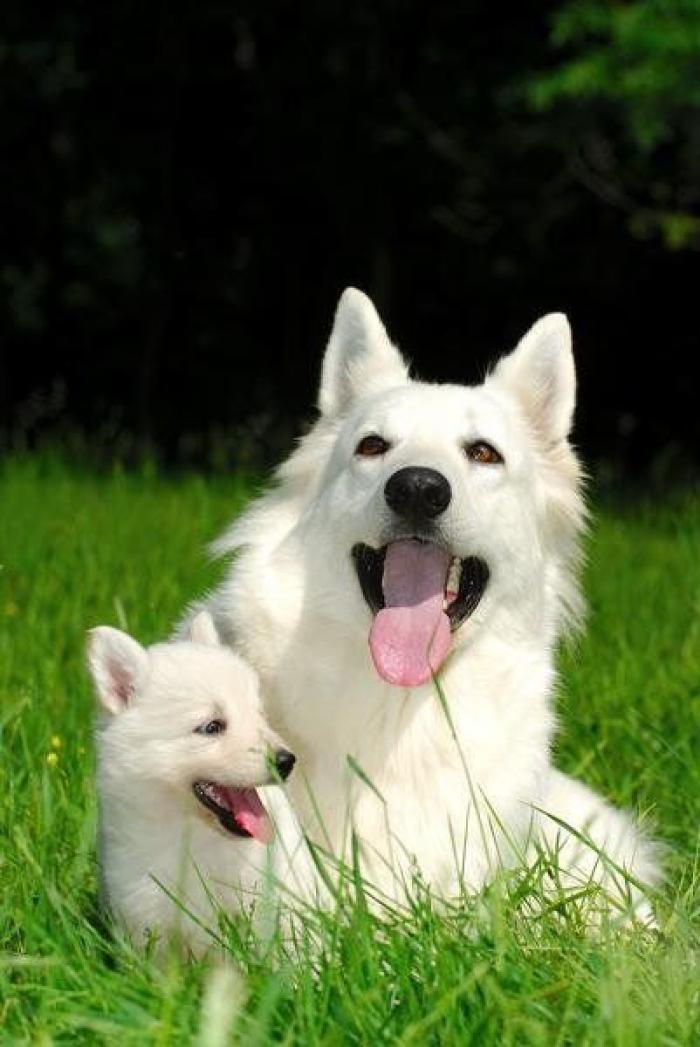 Edu García, el niño de 'Aquí no hay quien viva, reaparece irreconocible y arrasa con un vídeo que algunos vinculan a un partido político