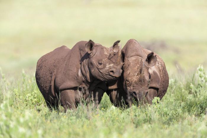 Edu García, el niño de 'Aquí no hay quien viva, reaparece irreconocible y arrasa con un vídeo que algunos vinculan a un partido político