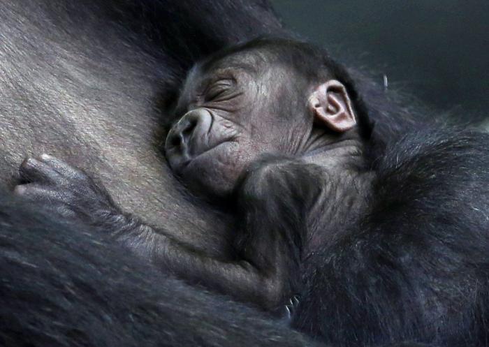 Edu García, el niño de 'Aquí no hay quien viva, reaparece irreconocible y arrasa con un vídeo que algunos vinculan a un partido político