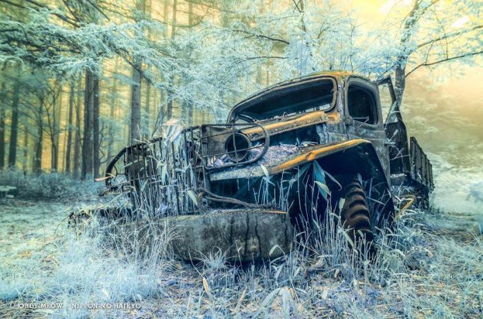 El Gobierno de Japón propone teletrabajar mientras se está de vacaciones