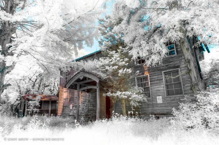 El Gobierno de Japón propone teletrabajar mientras se está de vacaciones