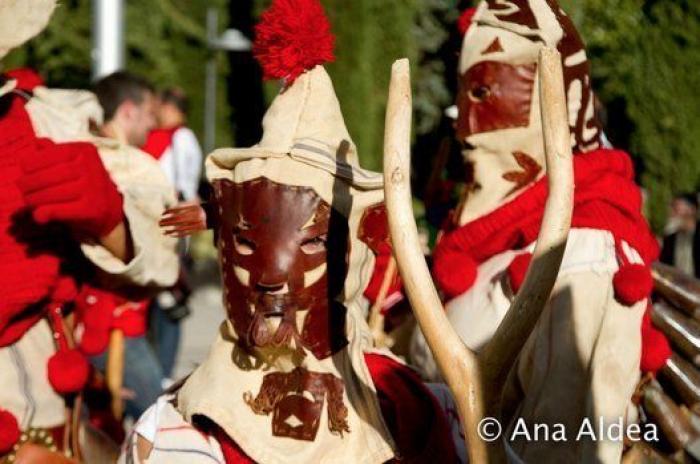 Siete carnavales fuera de lo común