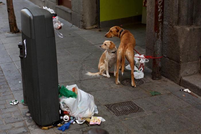 La huelga de limpieza de Madrid no tiene visos de acabar y la ciudad está así (FOTOS)