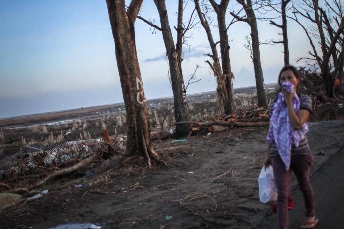 Ni alubias, ni arroz en Tolosa: está devastada