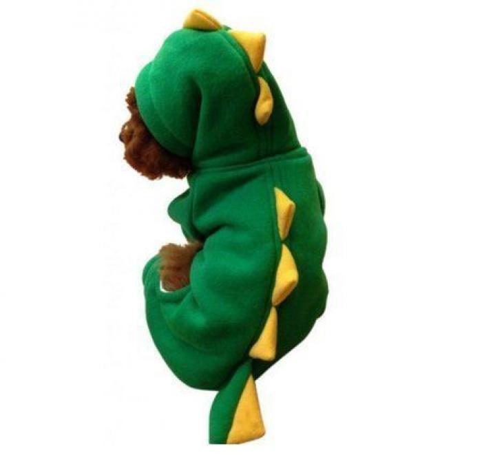 14 disfraces para que tu mascota arrase este carnaval (FOTOS)