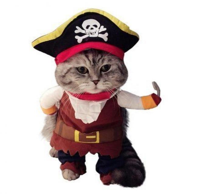 14 disfraces para que tu mascota arrase este carnaval (FOTOS)