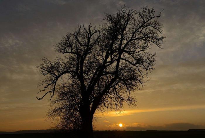 El otoño será cálido tras un verano marcado por dos intensas olas de calor