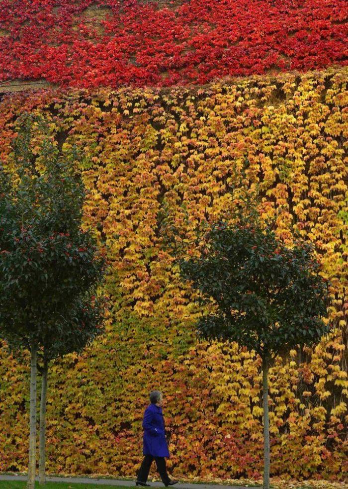 El otoño será cálido tras un verano marcado por dos intensas olas de calor
