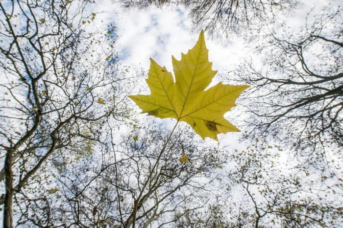 El otoño será cálido tras un verano marcado por dos intensas olas de calor