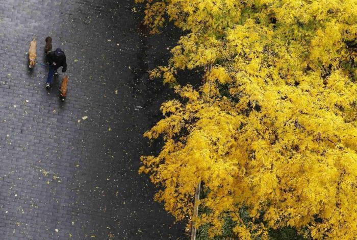 El otoño será cálido tras un verano marcado por dos intensas olas de calor