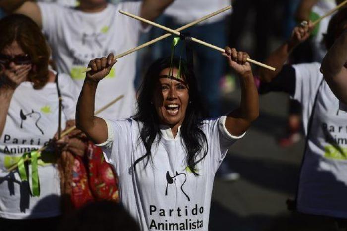 Tordesillas (Valladolid) celebra este martes el Toro de la Vega, sin muerte por cuarto año consecutivo