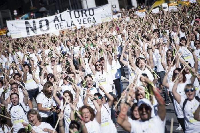 Tordesillas (Valladolid) celebra este martes el Toro de la Vega, sin muerte por cuarto año consecutivo