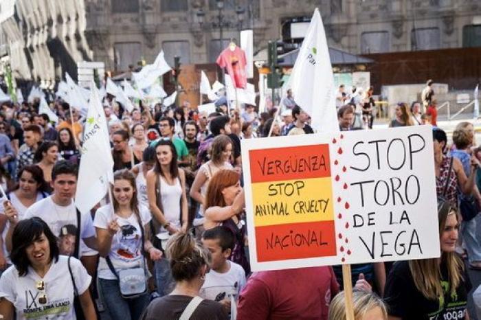 Tordesillas (Valladolid) celebra este martes el Toro de la Vega, sin muerte por cuarto año consecutivo