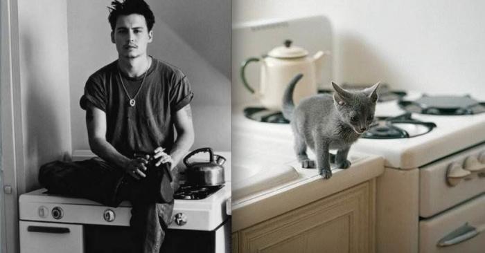 Cómo elegir la arena de gato que más te conviene a ti y a tu mascota