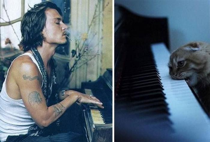 Cómo elegir la arena de gato que más te conviene a ti y a tu mascota