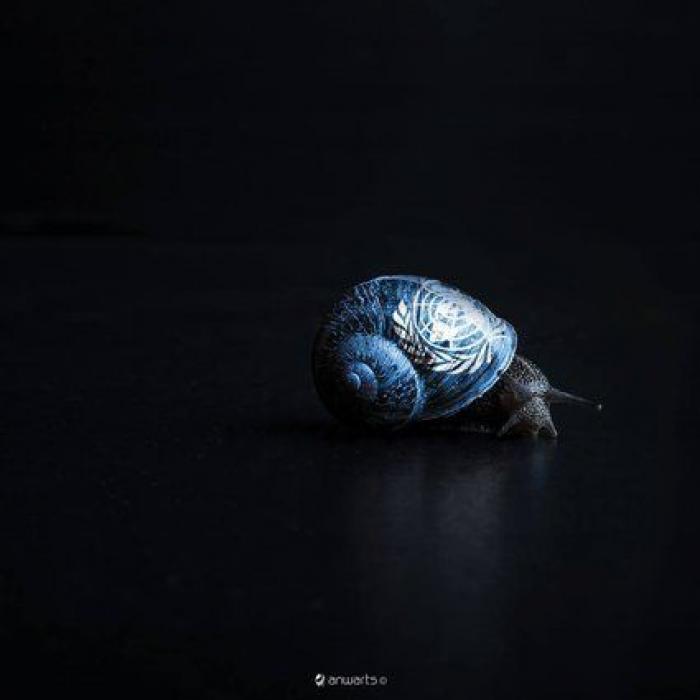 "Lo que era una ola de hambre es ahora un tsunami", advierte la ONU