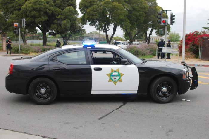 Un neurocientífico descubre que es un psicópata en potencia