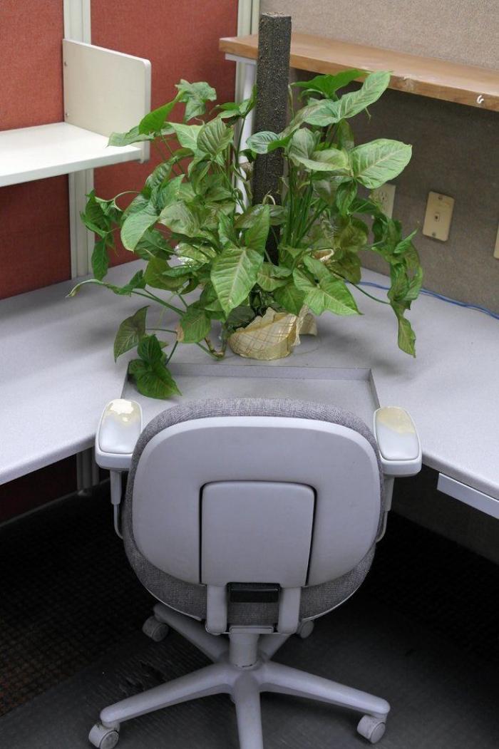 Un neurocientífico descubre que es un psicópata en potencia