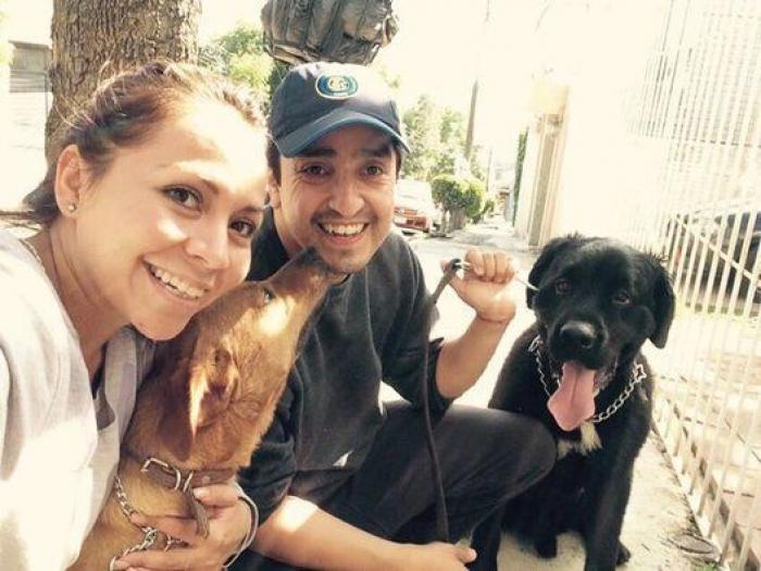 Cuántas veces al día tengo que sacar de paseo al perro