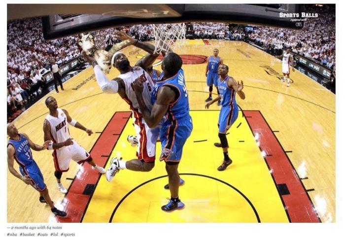 Los Tumblr más virales de 2013 (FOTOS)