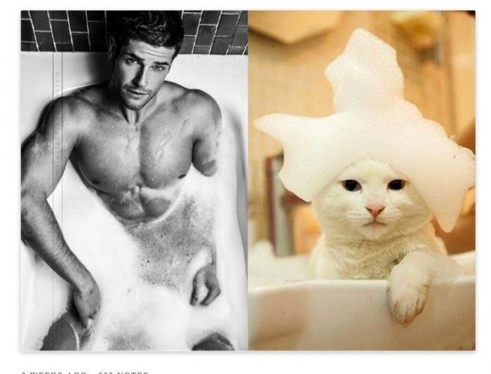 Los Tumblr más virales de 2013 (FOTOS)