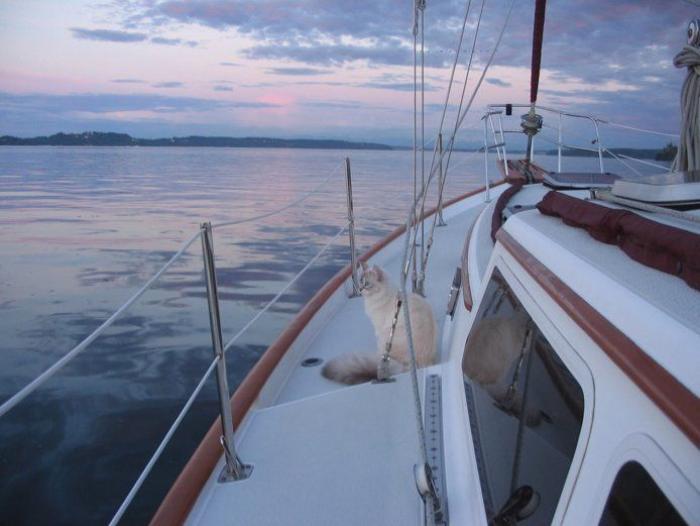 Los Tumblr más virales de 2013 (FOTOS)