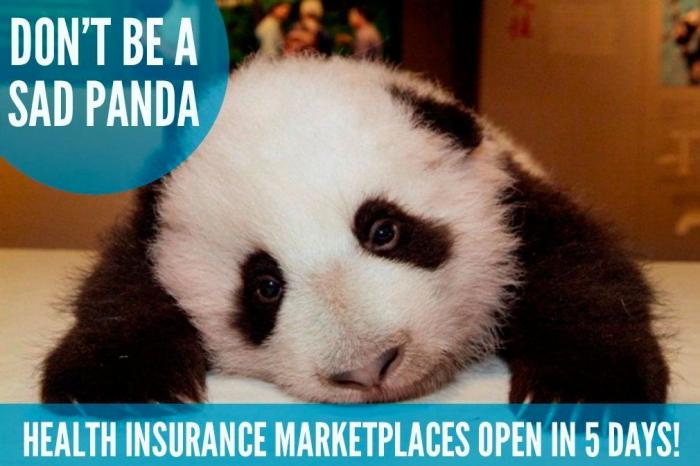 Los Tumblr más virales de 2013 (FOTOS)