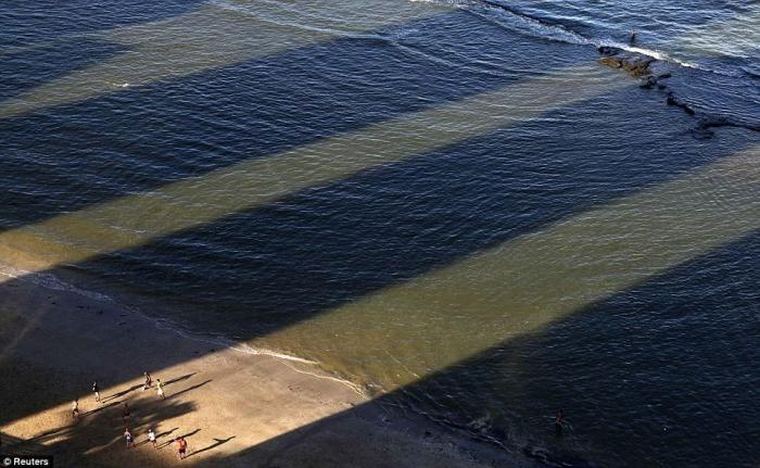 Mejores fotos de 2013, según Reuters