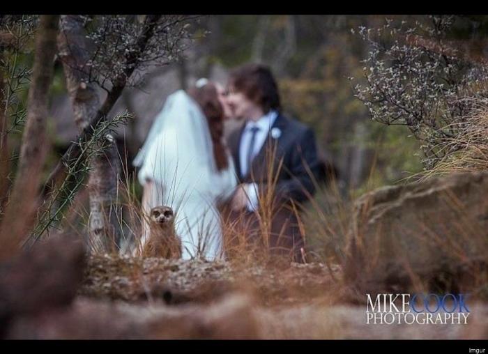 Las imágenes de la boda de Álvaro Morata y Alice Campello en Venecia