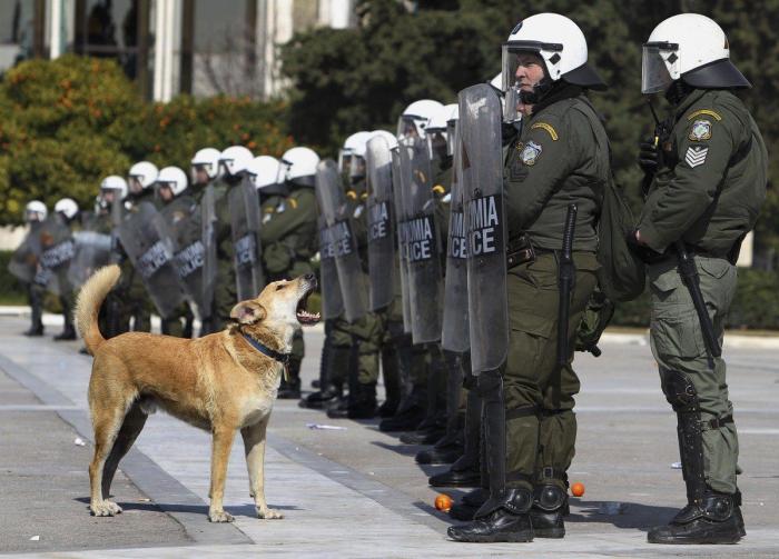 Billetes enfurecidos: protestar desde la cartera (FOTOS)