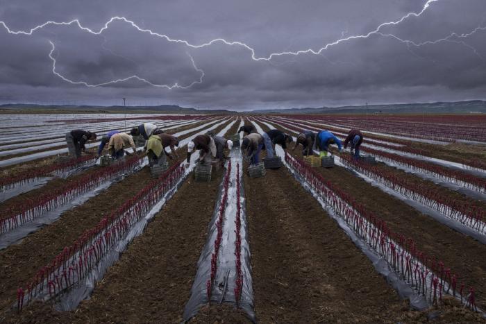 El mundo rural como nunca antes lo habías visto (FOTOS)
