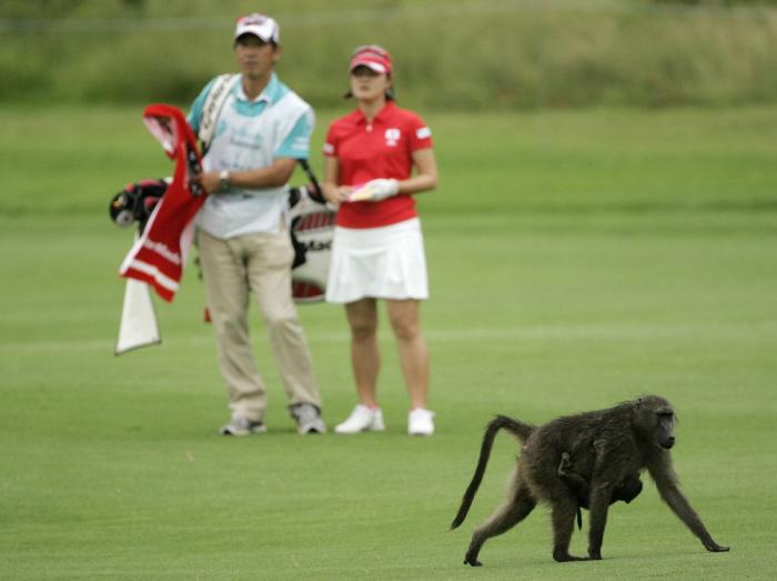 El último baile: la camiseta para sentirte como Michael Jordan por menos de 20 euros