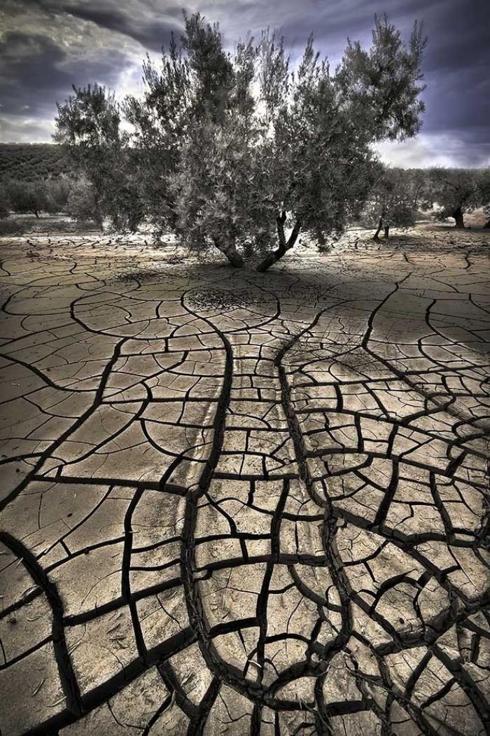 El mundo rural como nunca antes lo habías visto (FOTOS)