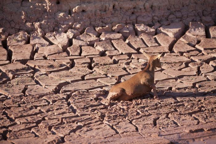 El mundo rural como nunca antes lo habías visto (FOTOS)