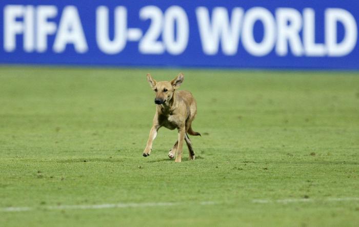 El último baile: la camiseta para sentirte como Michael Jordan por menos de 20 euros