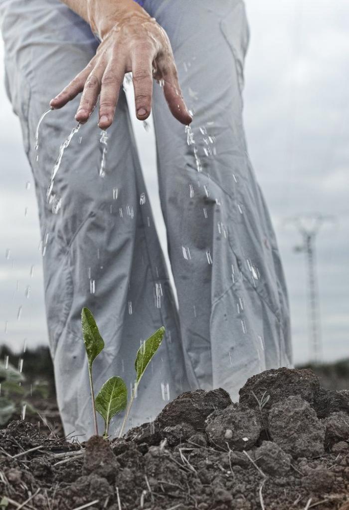 El mundo rural como nunca antes lo habías visto (FOTOS)