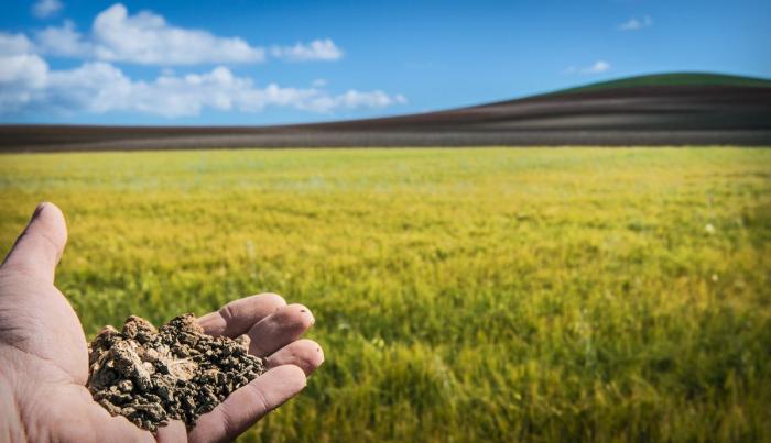 El mundo rural como nunca antes lo habías visto (FOTOS)