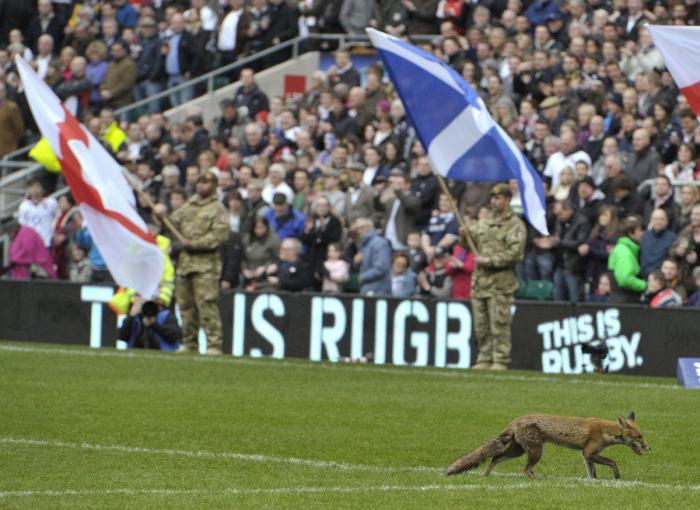 El último baile: la camiseta para sentirte como Michael Jordan por menos de 20 euros