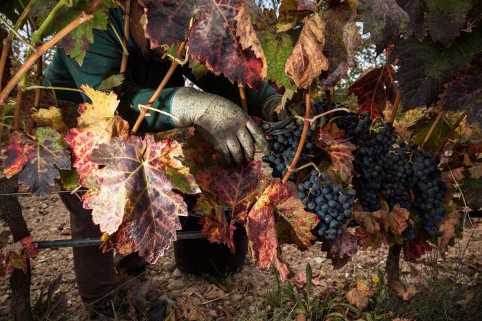El mundo rural como nunca antes lo habías visto (FOTOS)