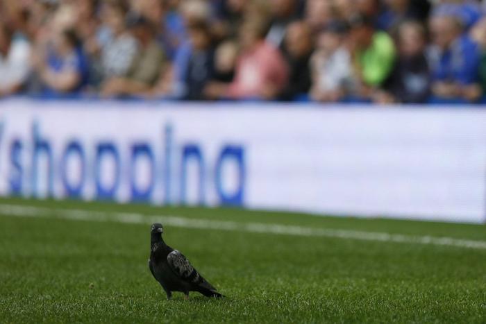 El último baile: la camiseta para sentirte como Michael Jordan por menos de 20 euros