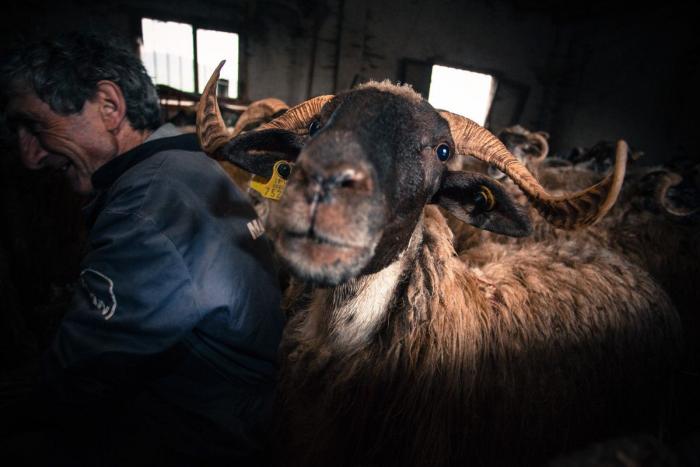 El mundo rural como nunca antes lo habías visto (FOTOS)