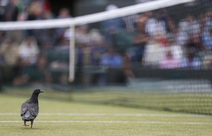 El último baile: la camiseta para sentirte como Michael Jordan por menos de 20 euros